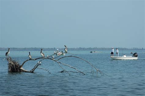 Fishing the Tides: How Tides Affect Fishing in Bays, Inlets - Florida ...