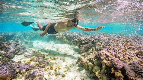 Hanauma Bay Snorkeling - tickets, prices, discounts, timings, what to ...