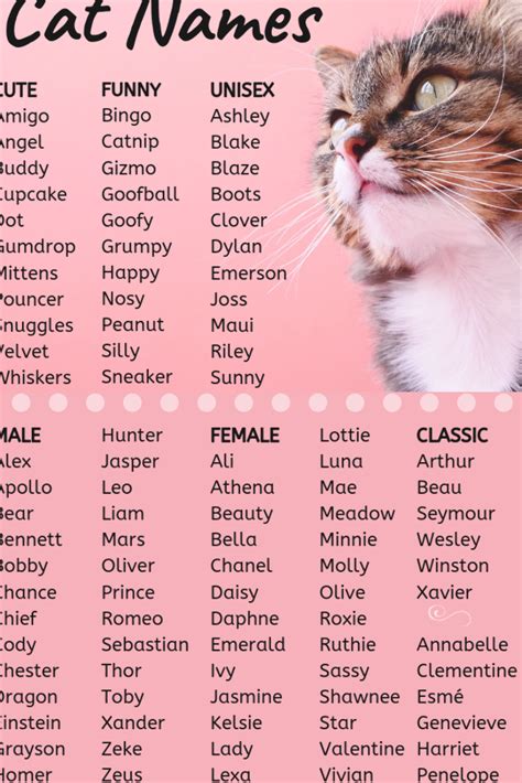 This list of cat names offers ideas for male and female cats. Whether ...