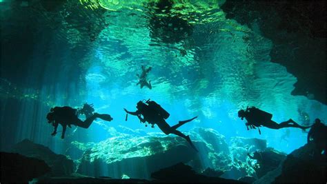 Los 4 mejores cenotes para bucear en México