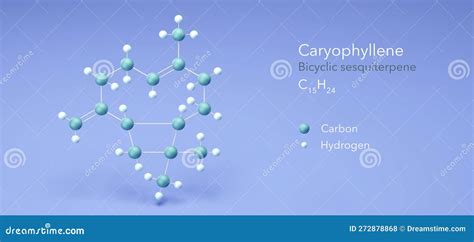 Caryophyllene Molecular Structure, 3d Model Molecule, Bicyclic ...