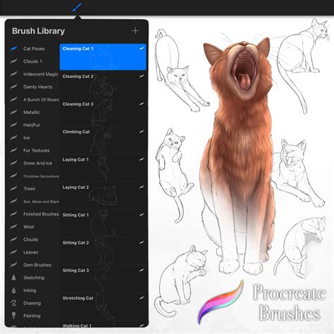 Cat Pose Sketch Stamps for Procreate