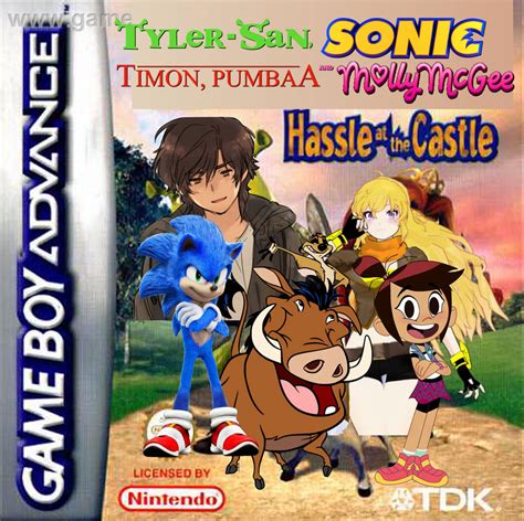 TSSTPM: Hassle At The Castle Video Game Cover by quinn727studio on ...