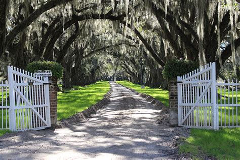 Driving Detour Through Yemassee - South Carolina Lowcountry