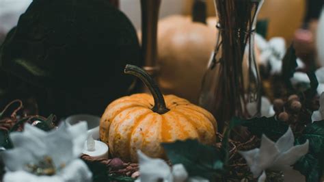 Halloween’s origins: Vegan-friendly Samhain traditions