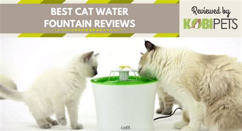 Best Cat Water Fountains in 2018 - Keep Your Feline Hydrated | Kobi Pets