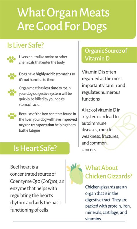 The Benefits Of Organ Meat For Dogs