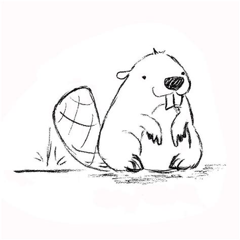 Cute Beaver Drawing