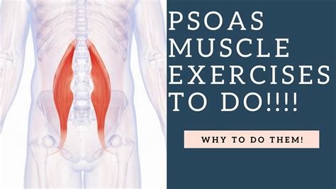 BEST Psoas Muscle Exercises To Do To Strengthen & Stretch This Hip ...