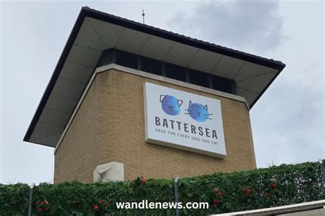 Battersea Dogs Home Tour: Review & How to Visit