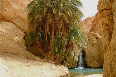 chebika oasis, Sahara Tunisia. | Manzara, Inanılmaz doğa, Geziler