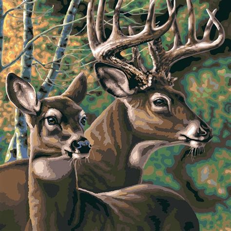 Plaid Deer Pair Extra Large Paint by Numbers - Craft & Hobbies from ...