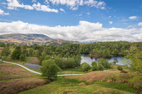 Tarn Hows | Lake District Beauty Spots | Scenic Walks