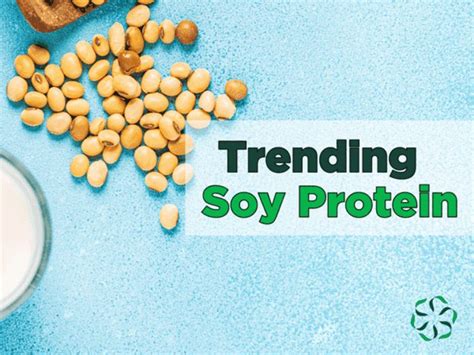 Trending – Soy Protein - Center for Research on Ingredient Safety