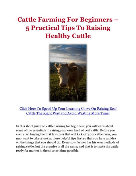 Cattle Farming For Beginners – 5 Practical Tips To Raising Healthy Ca…