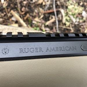 Ruger American Ranch Rifle in 450 Bushmaster | AfricaHunting.com