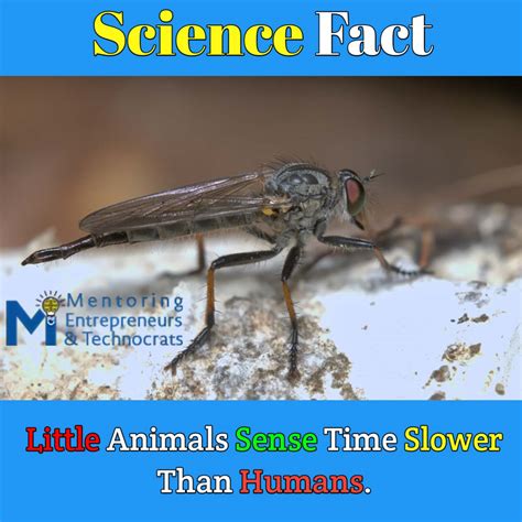 Science Facts | Amazing Facts | Fun Facts | General Knowledge Facts