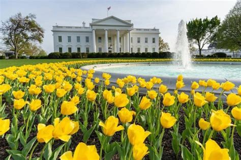 Things To Know About The White House Garden Tour