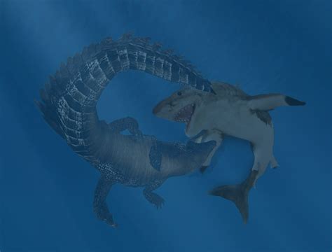 Saltwater Crocodile Vs Great White Shark by SpermWhale165 on DeviantArt