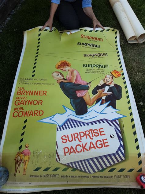 Surprise Package Movie Posters | #4383505102