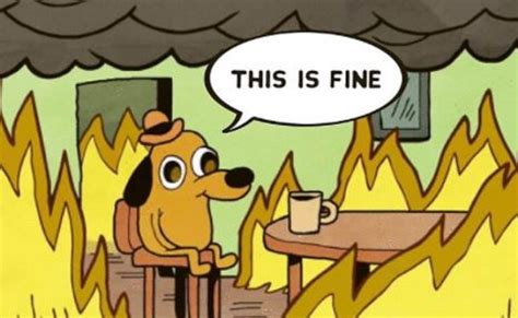 Create meme "this is fine , a dog in a burning house, this is fine ...