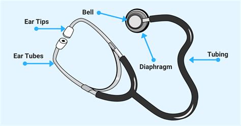 Top 7 Parts of a Stethoscope Labeled (2023 Explained)