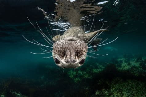 National Geographic Your Shot (@natgeoyourshot) posted on Instagram ...