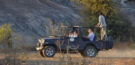 Jawai Jungle Safari - Jawai leopard Safari Resort