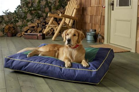 5 Best Indestructible (And Comfy) Dog Beds For Heavy Chewers ...