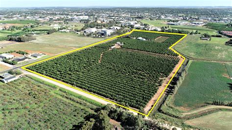 Farms 657 & 658 Old Willbriggie Road, Griffith NSW 2680 - Sold Rural ...