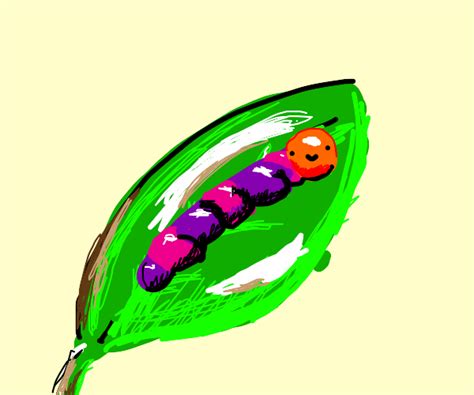 Caterpillar - Drawception