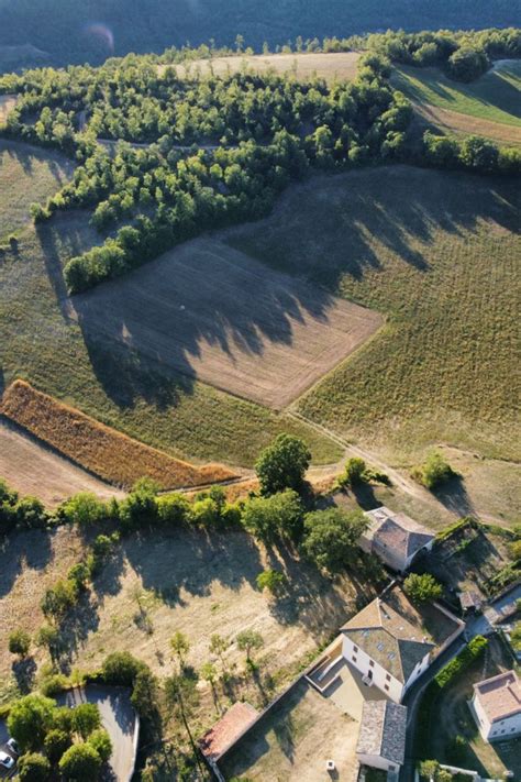 Aerial View of Green Trees and Green Grass Field i 2024