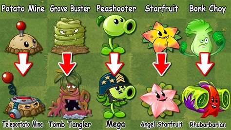 PVZ 2 New Evolution Plants In The Game Plants Vs Zombies 2 - NOOB - PRO ...