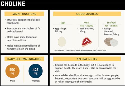 Choline - Benefits, Supplement, Foods High In Choline, Deficiency