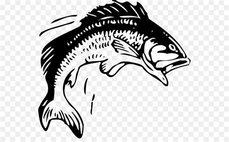 Free Bass Fish Clipart Black And White, Download Free Bass Fish Clipart ...