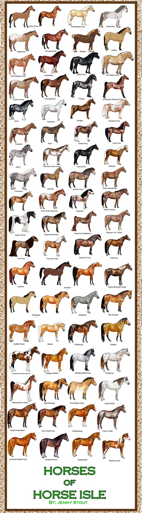 Horse breeds : coolguides