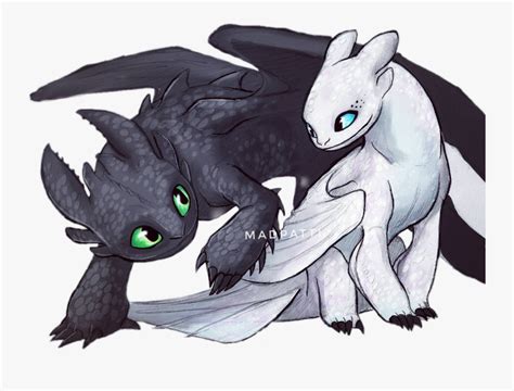 Wefalling: Night Fury Light Fury Dragon Drawing Toothless