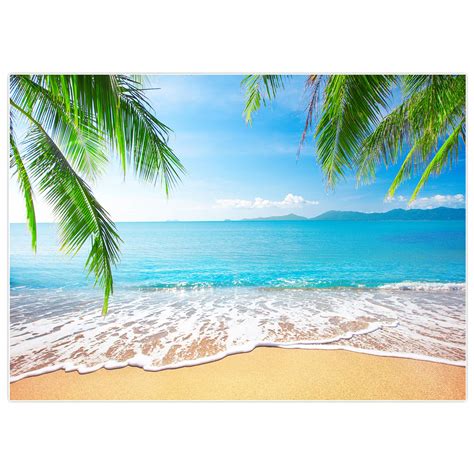 Buy Allenjoy 7x5ft Tropical Beach Background Summer Luau Palm Leaves ...