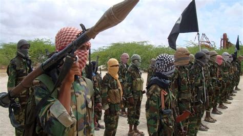 Somalia al-Shabab: US drone strike targets militant chief - BBC News