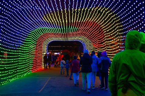 First Look: Bronx Zoo Holiday Lights – Westchester Family