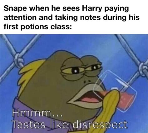 Mr. Potter... our new celebrity... : r/HarryPotterMemes