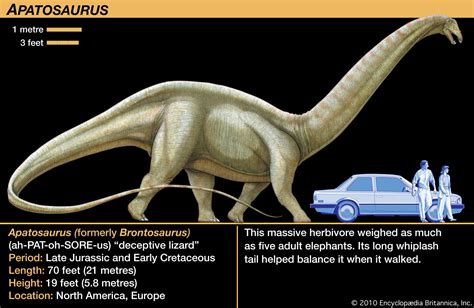 Tabela Salarial 2023 Apatosaurus Size - IMAGESEE