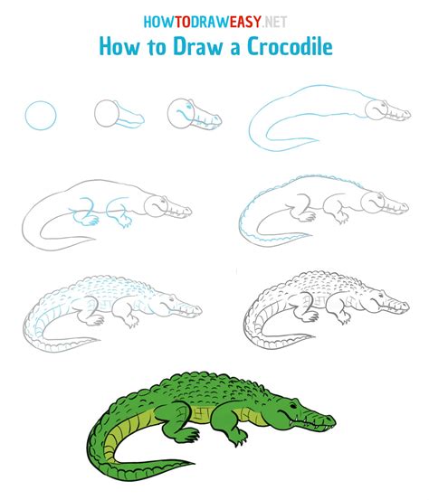 How To Draw A Crocodile How To Draw Easy | Images and Photos finder