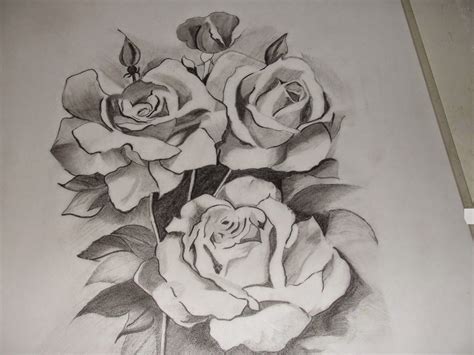 Top 13 Flowers Sketches - Beautiful Sketching Flowers