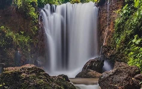 Kesarval Springs In Goa Are Not Only Gorgeous But Also Contain ...