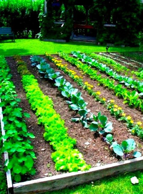 Best Free Vegetable Garden Planner The Inspirations Landscaping ...