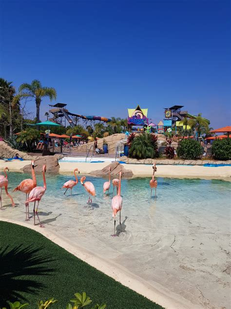 Summer fun at Aquatica San Diego - My Life is a Journey Not a ...