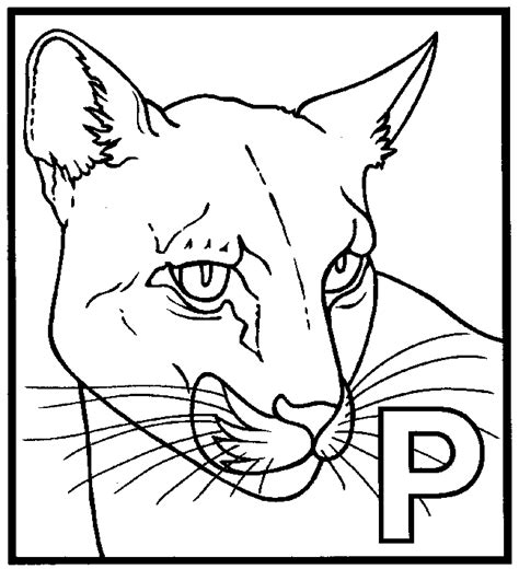 Panther coloring page - Animals Town - animals color sheet - Panther ...