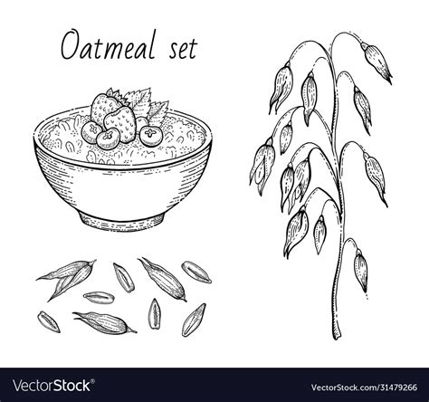 Oats sketch oatmeal porridge bowl with milk Vector Image