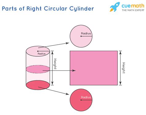 Right Cylinder